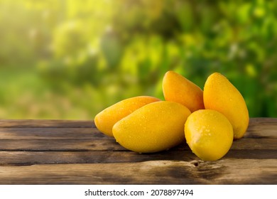 Stack of ripe mangoes fruit on wooden table with green nature at farm.