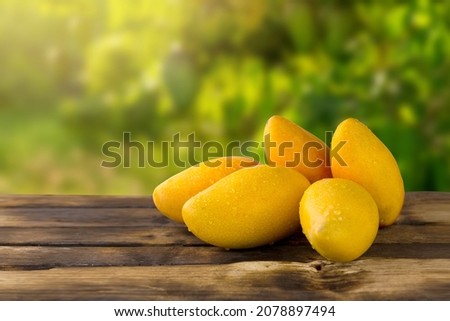 Stack of ripe mangoes fruit on wooden table with green nature at farm.