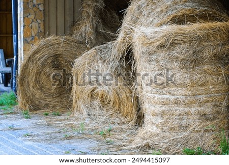 A stack of round hay bales stored inside a barn in Lithuania during the summer. The photo captures the essence of rural life and agricultural practices