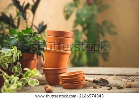 Stack of small ceramic terra cotta pots, gardening tools for succulents, and lots of plants on the wooden table. Plant repot and care concept. Space for text