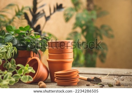 Stack of small ceramic terra cotta pots, gardening tools for succulents, and lots of plants on the wooden table. Plant repot and care concept. Space for text