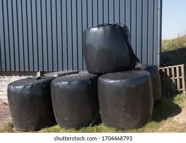 Stack Of Straw Bales Covered With Black Plastic Bale Wrap By A Barn On A Farm In Rural Devon, England, UK