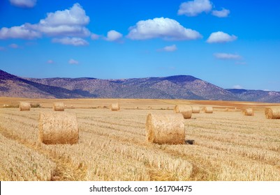 stack of straw on the mown field 