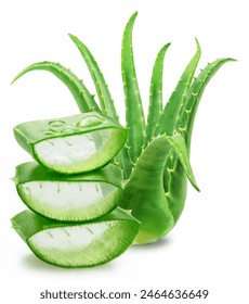 Stack of three aloe vera slices or and aloe stalk, macro shot isolated on white background.