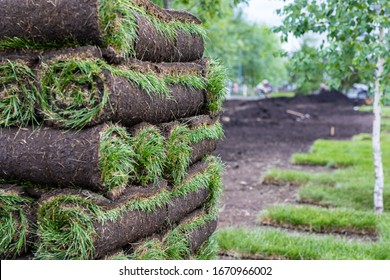 Stack of turf grass for lawn. Carpet of turf, roll of sod, turf grass roll. Installation of landscape and environment - Shutterstock ID 1670966002