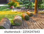 Stack of turf grass for lawn. roll of sod, turf grass roll.