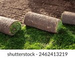 Stack of turf grass for lawn. roll of sod, turf grass roll.