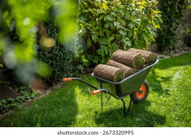 Stack of turf grass for lawn. Roll of sod, turf grass roll on wheelbarrow. Close-up of grass turf rolls in a wheelbarrow, ready to be laid. Ideal for gardening, landscaping, lawn projects.