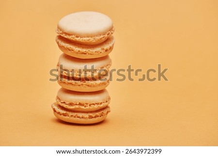 Stack of vanilla light beige color biscuits macaron cookies isolated on the bright solid fond plain bright sandy beige background
