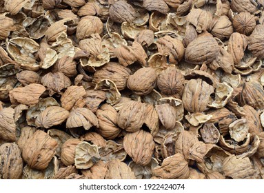 Stack Of Walnut Shells Top View