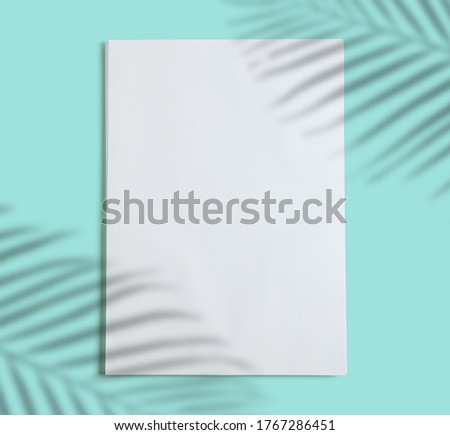 stack of white folios on turquoise blue background, shadow of plants