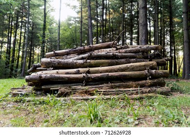 Stack of Wood