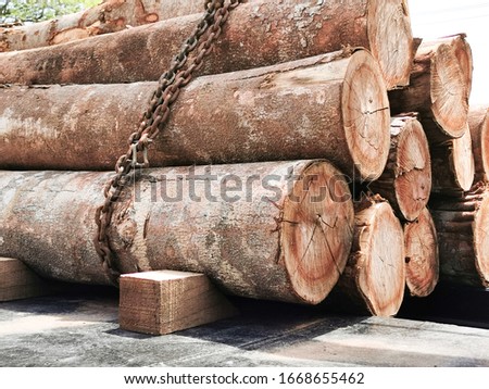 Stack wood log. wood pile stack together with chain.