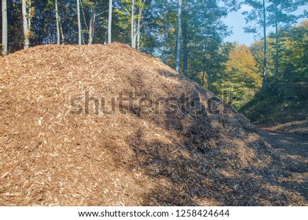 Stack of woodchips, pieces of wood used as an organic mulch or as a biomass solid fuel 
