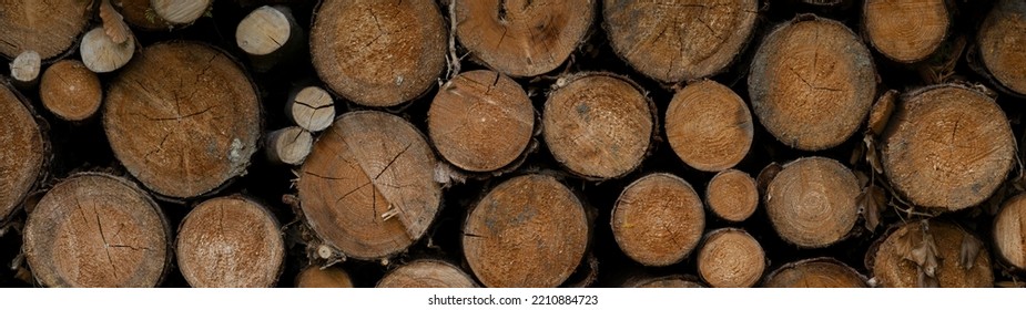 Stack Of Wooden Stumps In Cross Section Texture Background - Wood Woods Forest Long Wide Panorama Banner Pattern
