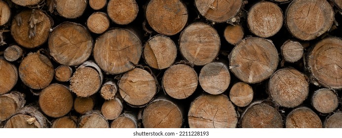 Stack Of Wooden Stumps In Cross Section Texture Background - Wood Woods Forest Long Wide Panorama Banner Pattern
