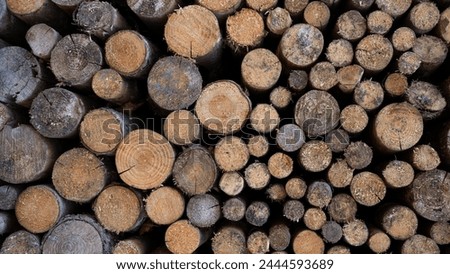 Stack of wooden stumps, tree trunks in cross-section texture wall wallpaper background - Wood storage, woods firewood hardwood timber forest long wide panorama banner pattern	