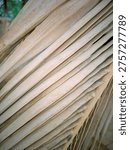 A stack of worn, aged cardboard sheets stacked haphazardly, with visible signs of wear and tear, suitable for use as a background or texture in design projects emphasizing sustainability and eco-friendliness.