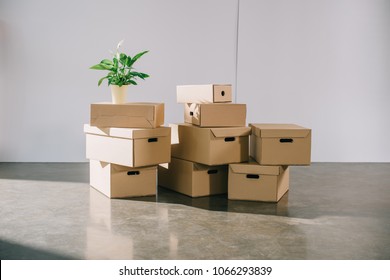 Stacked Cardboard Boxes And Potted Plant During Relocation