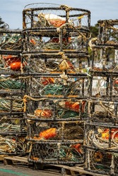 Stacked Crab Traps On The Pier Ready For Crab Fishing.