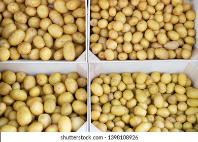 Stacked Crates Of Fresh Harvested Potatoes In Market For Sale In Ile De Ré France For Background