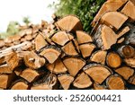 stacked firewood logs in front of lush green foliage in natural outdoor setting