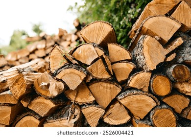 stacked firewood logs in front of lush green foliage in natural outdoor setting - Powered by Shutterstock