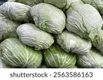 Stacked of Fresh cabbage . Vegetarian food concept., Cabbage background.