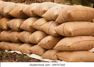 Stacked, Gunny bag filled with soy seeds in farm, Maharashtra, India, South east Asia