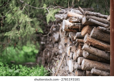 Stacked logs in a rustic setting amidst greenery.