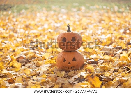 Stacked pumpkins with unique faces sit atop colorful autumn leaves, enhancing the festive mood of Halloween and showcasing seasonal decorations and nature's beauty