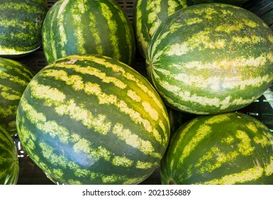 stacked ripe and sweet organic watermelons