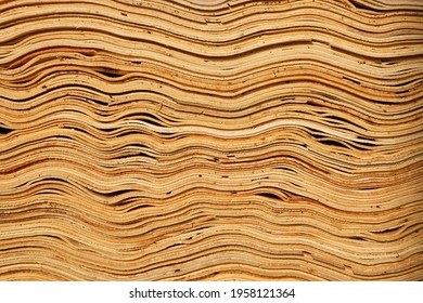 Stacked semimanufacture wooden veneer for plywood and furniture production. Side butt view close-up.