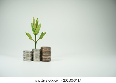 stacked silver coins in a graph with plants growing on top, white background, startup, savings, deposit, finance, banking, investment, empty space background image, pile of coins - Shutterstock ID 2025053417