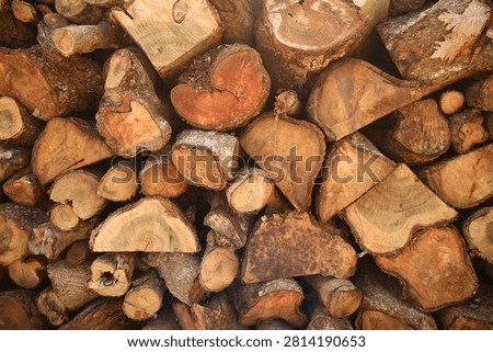 Stacked split firewood logs texture background. Close-up view of a pile of dry timber logs prepared for winter heating or bonfire