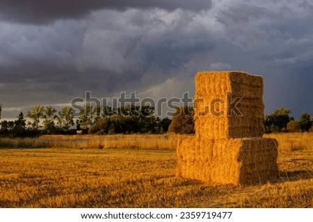 stacked straw alpacas, landscape at sunset on one stormy day