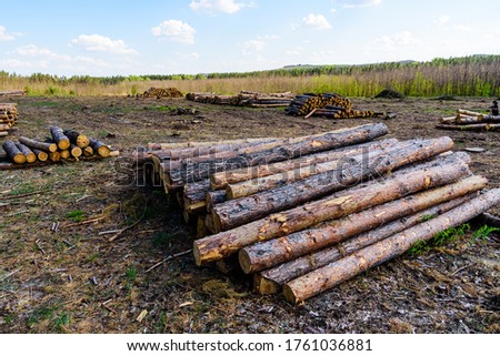 Similar – Foto Bild Baumstämme, Holztextur