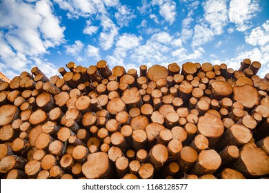 Stacked wood logs against blue sky - lumber or timber industry concept