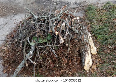 Stacked Yard Debris: Sticks, Leaves, Branches And Twigs