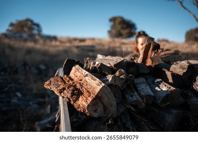 stacking firewood on the back of a ute sustainably sourced from the forest in australia in summer