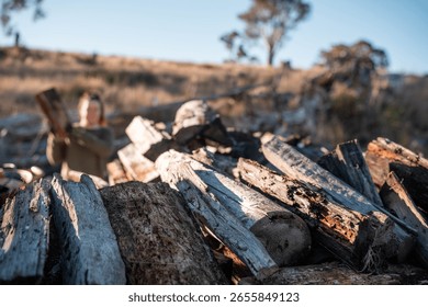 stacking firewood on the back of a ute sustainably sourced from the forest in australia in summer