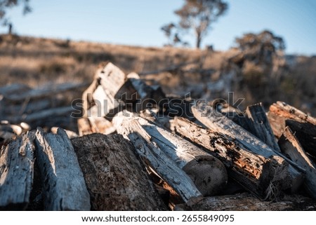 stacking firewood on the back of a ute sustainably sourced from the forest in australia in summer