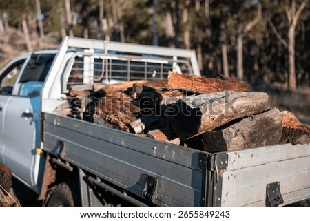 stacking firewood on the back of a ute sustainably sourced from the forest in australia in summer