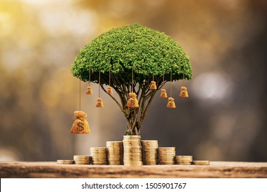Stacking gold coins and money bag of tree with growing put on the wood on the morning sunlight in public park, Saving money and loan for business investment concept. - Shutterstock ID 1505901767