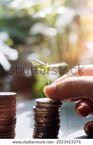 stacking money coins and a house model.save and investment for buy house concept .for the future. Save money concept.