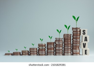 Stacking of money for growing growth financial and business. Savings and Accounts, Finance Banking Business Concept, Investments, Funds, Bonds, Dividends, Interest, Plants growing on top of coins.
