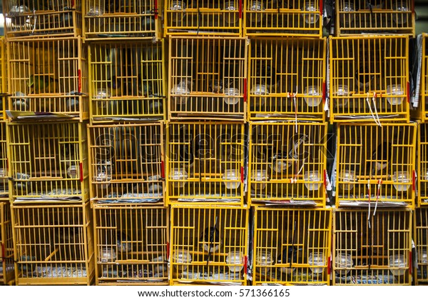 inside bird cages