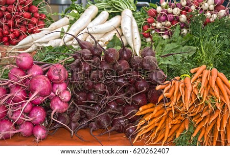 Stacks of fresh organic root vegetables, like carrots, beets and radishes are on display at a local farmer's market.  These markets help reduce carbon footprints by encouraging local food production.
