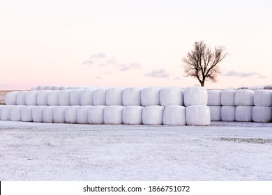 Stacks Of Hay Bale Rolls Wrapped In Plastic Seen In Rural Area During A Winter Dawn, Quebec City, Quebec, Canada