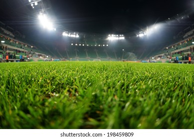 Stadium, Close Up On Grass